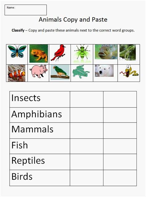 Animal Classification worksheet | Science | Pinterest ... 1st Grade ...