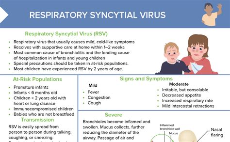 RSV: Nursing Diagnosis [+ Free Cheat Sheet] | Lecturio