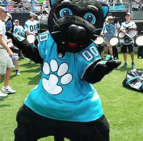 The Carolina Panthers Mascot Is Absolutely Purrfect