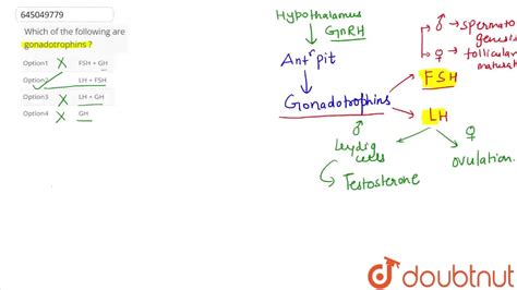 Which of the following are gonadotrophins