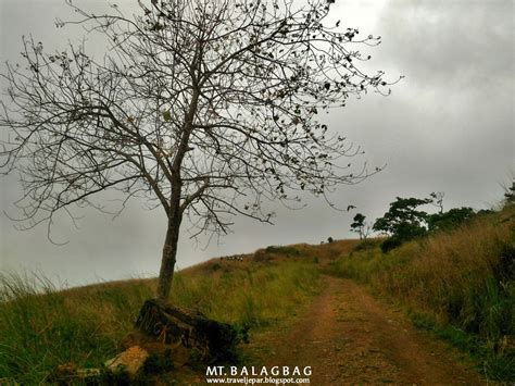 Mt. Balagbag | Bulacan