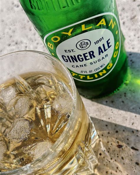 12 BEST Ginger Ale Brands From a Michigander's Perspective