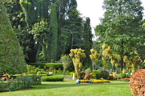 Art of the Garden: Royal Botanical Garden; Peradeniya, Sri Lanka