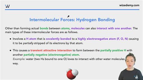 Intermolecular Forces: Hydrogen Bond - Wize University Biology Textbook ...