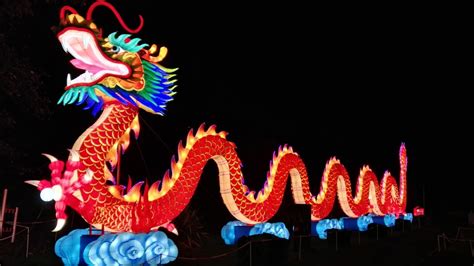 Chinese giant lanterns illuminate Edinburgh Zoo - CGTN