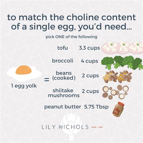 Choline in Pregnancy: Folate’s Long Lost Cousin - Lily Nichols RDN