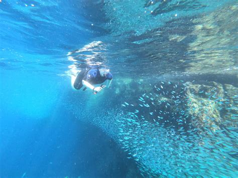 Snorkel Tour Private guide Cabo San Lucas | Adventures in Baja