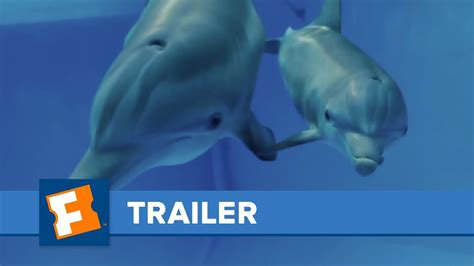 Dolphin Tale 2 Official Trailer HD | Trailers | FandangoMovies - YouTube