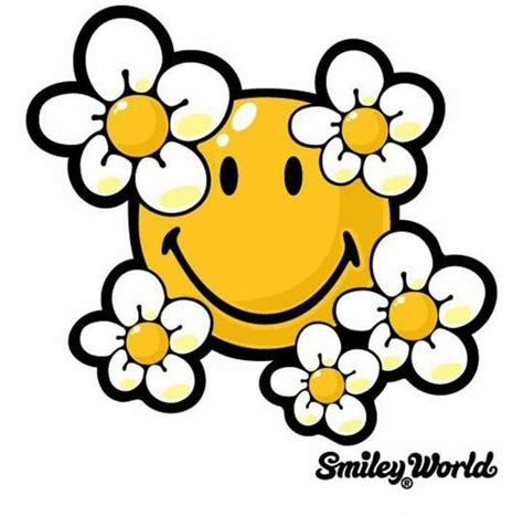 Pin by Suzanne Koopman on DAISIES | Smiley, Smiley happy, Smiley face