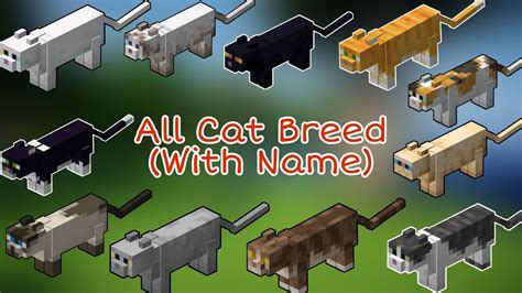 Minecraft Cat Breeding Chart