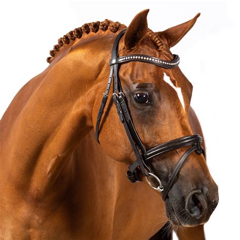 Dressage Bridles