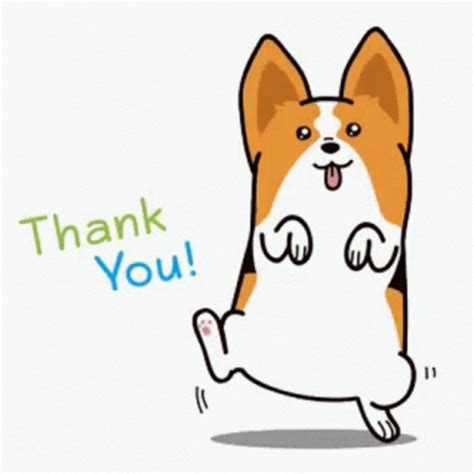 Thank You Dog GIF – Thank You Dog Dancing Dog – discover and share GIFs