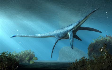 Elasmosaurus Digital Art by Daniel Eskridge - Pixels