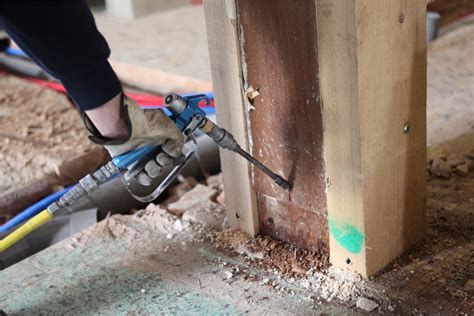 The Wooden Menace: Safeguarding Your Home From Termites In Louisiana ...