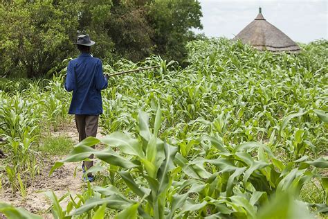 The Culture Of South Sudan - WorldAtlas