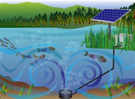 Solar-Powered Aeration | Trusted Solutions | Pond Lake Management