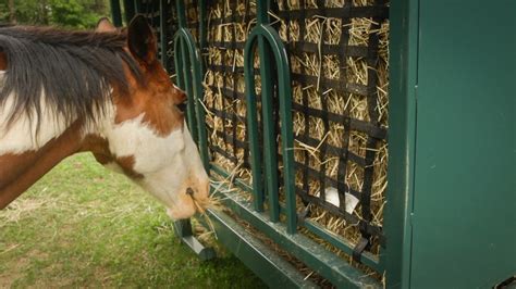 Perry Large Mesh Ring Hole Polypropylene Equestrian Hay Nets Horse ...