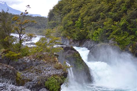 The Chilean Forest: Vicente Pérez Rosales National Park and the ...