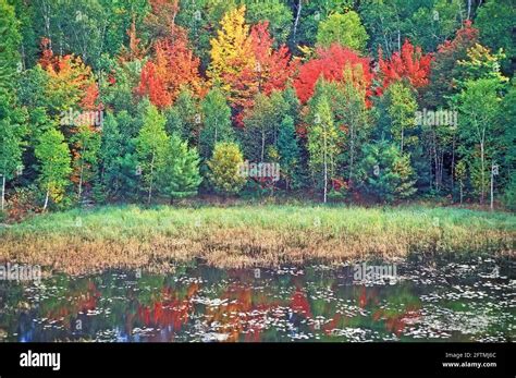 Killarney fall colors, Ontario, Canada Stock Photo - Alamy