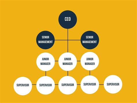 Hierarchical Structure: Definitions and Examples