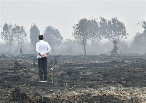 Kabut Asap Riau, Warga yang Merantau ke Medan Makin Ramai