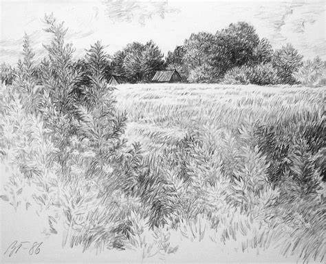 Grass Pencil Drawing at PaintingValley.com | Explore collection of ...