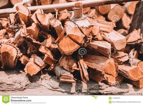 Firewood tree cut log stock image. Image of pattern - 114304275