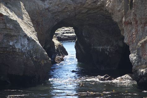 Manchester Beach State Park Manchester, California | Camping in texas ...