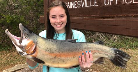 Trophy Rainbow Trout Caught on Lake Lanier – Georgia Wildlife Blog