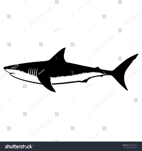 Great White Shark Silhouette Isolated On Stock Vector (Royalty Free ...