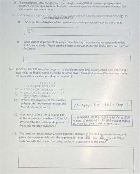 Solved (5) [3 points] Below is the non-template for coding) | Chegg.com