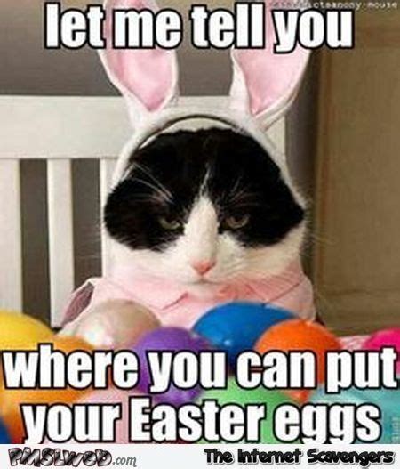 20 Happy Easter Egg Hunting Memes | SayingImages.com