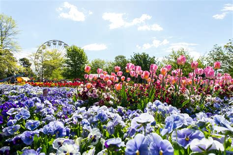 Floriade Canberra 2023 | Deco Hotel