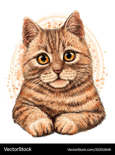 Cat color graphic artistic drawing Royalty Free Vector Image