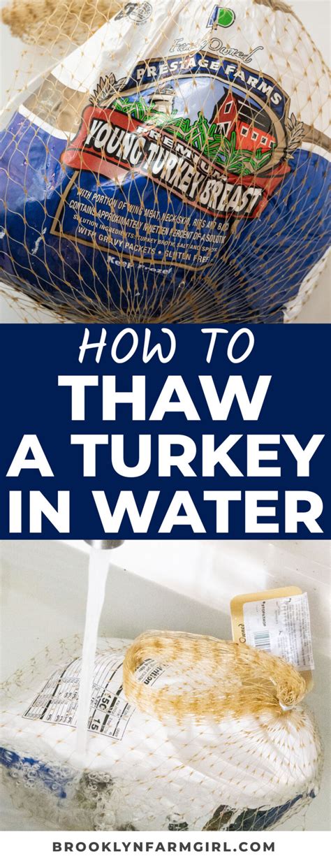 How to Thaw a Turkey in Water - Brooklyn Farm Girl