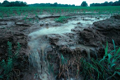 Soil Erosion | Deforestation Throughout Indonesia