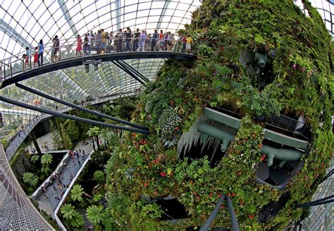 Cloud Forest Dome at Gardens by the bay Singapore | The Cool… | Flickr