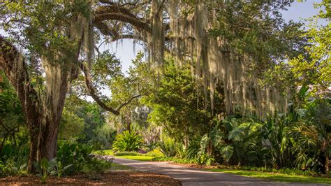 Fairchild Tropical Botanic Garden – Garden Review | Condé Nast Traveler