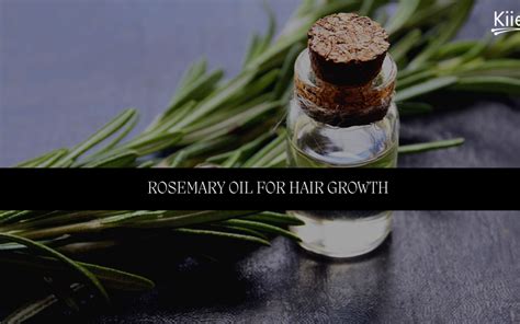 Benefits of Rosemary Oil for Hair Growth - Kiierr Laser Hair Caps ...