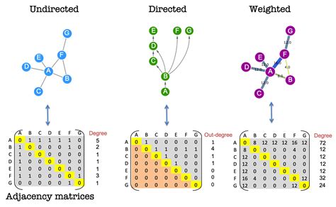 Graph theory: adjacency matrices | Network analysis of protein ...