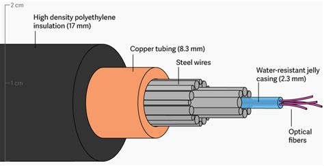 Fiber Optic Cable Trends & Technology Video