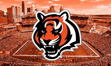 Top 999+ Cincinnati Bengals Wallpaper Full HD, 4K Free to Use