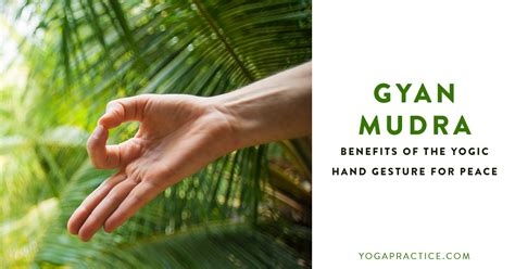 What Is Gyan Mudra? 10 Benefits of the Yogic Hand Gesture for Peace ...