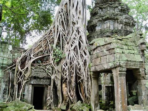 Angkor Wat and its magnificent Khmer story - RTF | Rethinking The Future