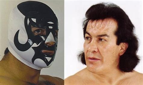 El mayor trofeo del Perro Aguayo | Lucha libre, Wwf, Wcw