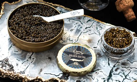 Sturgeon Caviar Meaning / Caviar Guide Pro Shares His Tips On Sturgeon ...