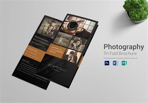 Photography Brochure Tri-fold Design Template in PSD, Word, Publisher