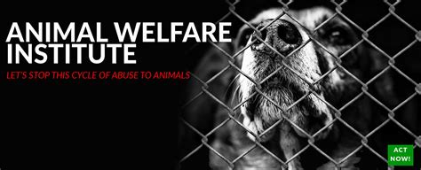 Animal Welfare Institute Questionnaire Survey on Behance