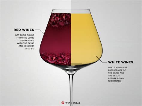 Red Wine vs White Wine: The Real Differences | Wine Folly