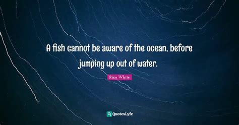 A fish cannot be aware of the ocean, before jumping up out of water ...